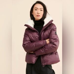 Noize Plum Felicia Puffer NWOT size XS/TP